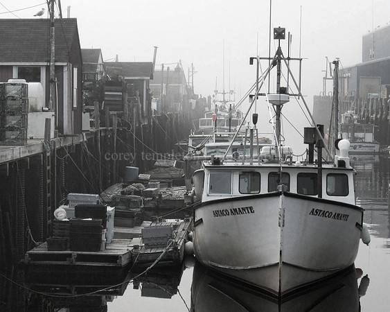 Morning on the Wharf