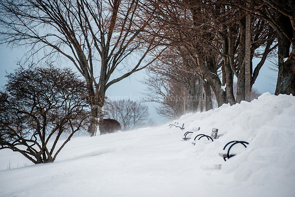 Eastern Promenade - January 2015
