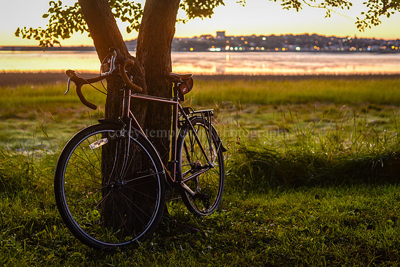 Back Cove Bicycle Sunrise