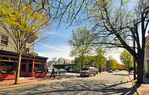 Pine Street in Spring