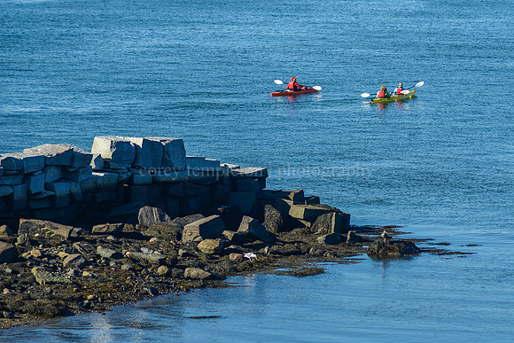 Kayakers