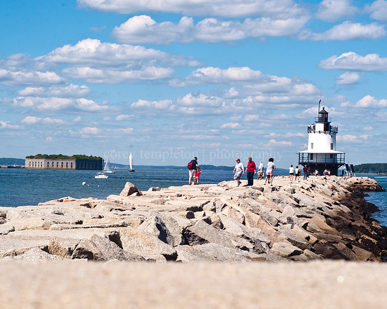 Spring Point 8X10 Crop