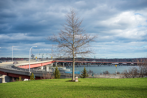 Harbor View Memorial Park