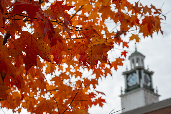 Fall Colors at Deering High School 2