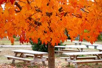 Portland, Maine - Fall