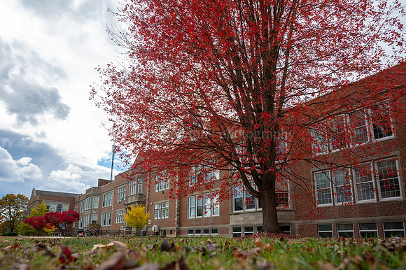 Fall Colors at Deering High School 1