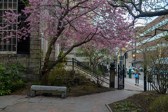 First Parish Church Courtyard, May 2015