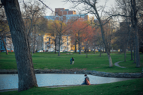 Deering Oaks Park, May 2015