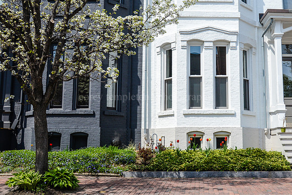 Carroll Street, Spring 2015