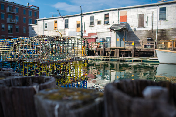 All Along the Waterfront