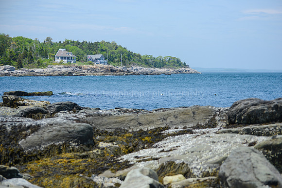Peaks Island Coastline