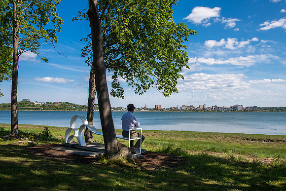 Bench on the Boulevard