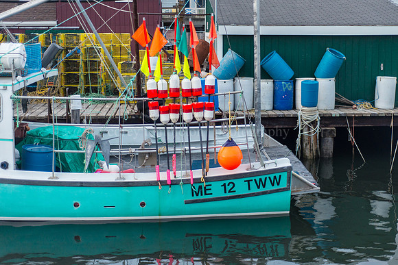 Widgery Wharf, June 2015