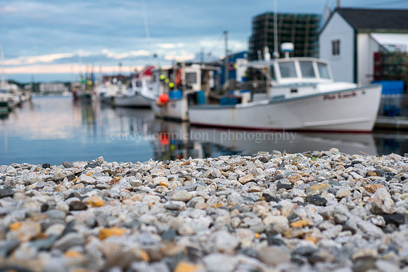 Rocky Coast, Widgery Wharf June 2015