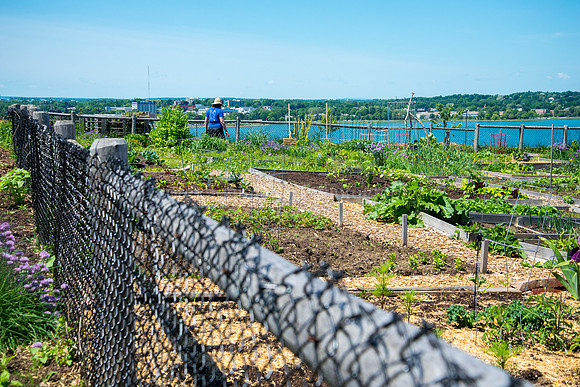 North Street Community Garden
