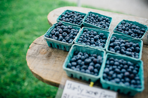 Farmers Market Blueberries