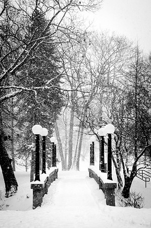Deering Oaks Bridge (Portrait)