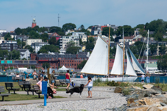 All Along the Waterfront