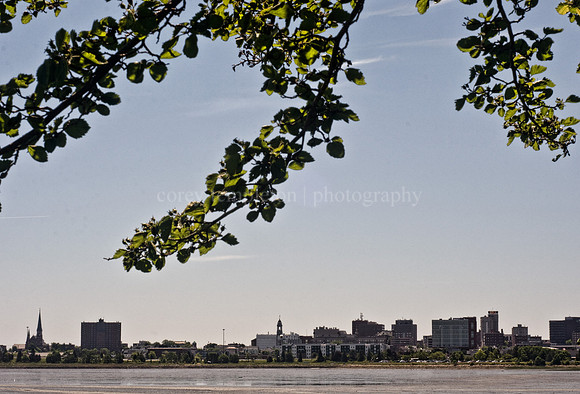 Skyline from Back Cove