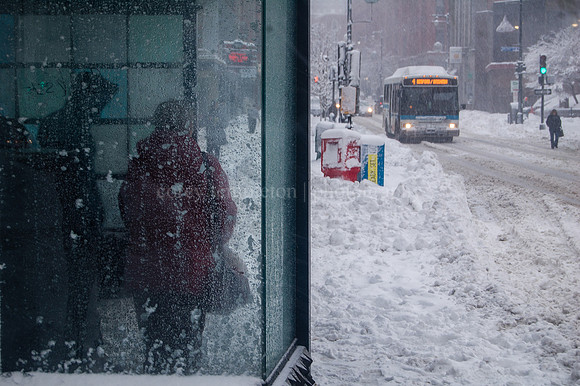 Congress Street Bus Stop in Snow