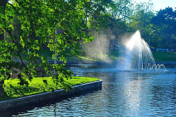 Deering Oaks Fountain in Summer