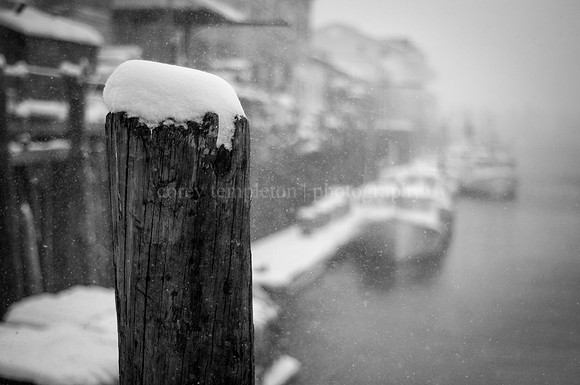 Snow Day on the Waterfront