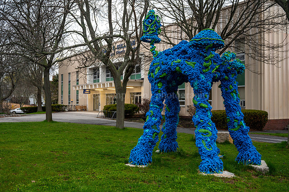 Tangle sculpture by Pamela Moulton and Roy Fox at Unviersity of
