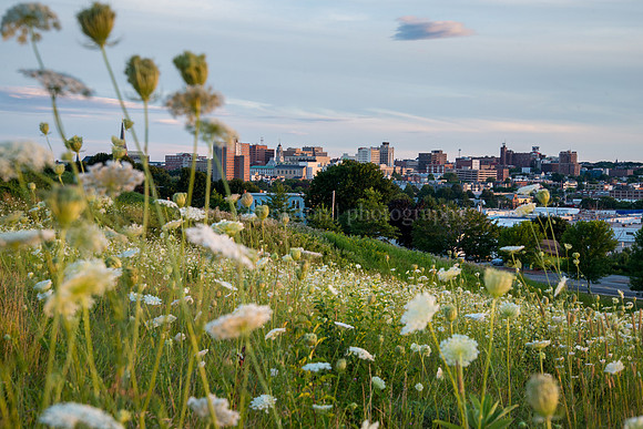 Hillside