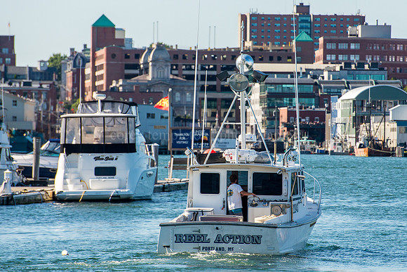 A Real Waterfront