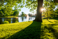 Deering Oaks Park Summer Sunrise at the Pond