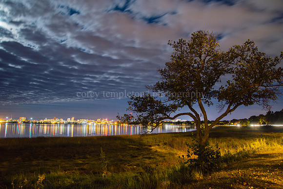 Back Cove Nightscape
