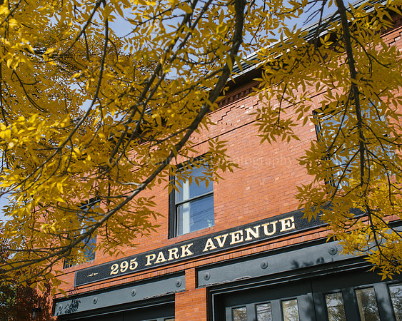 295 Park Avenue