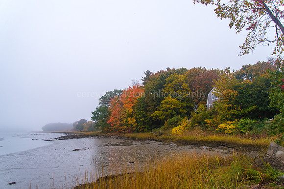 Stroudwater Waterfront, October 2015