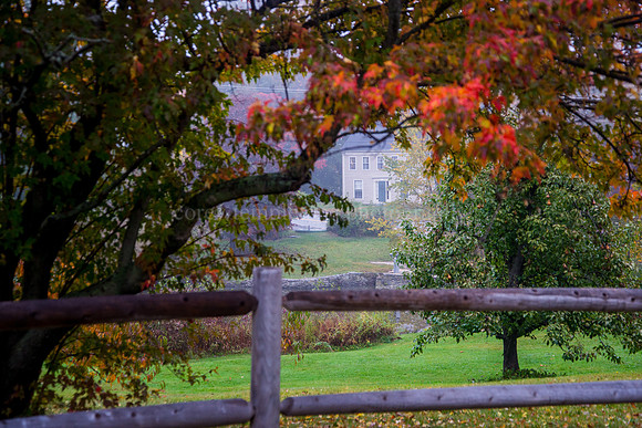 Fall Fences