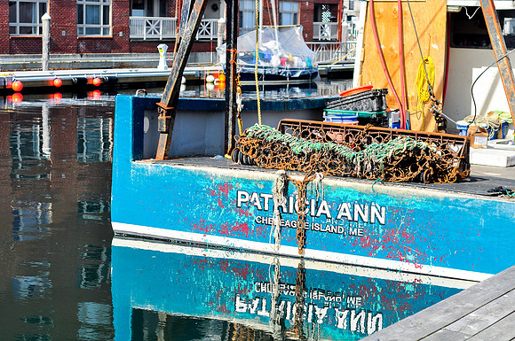 Patricia Ann