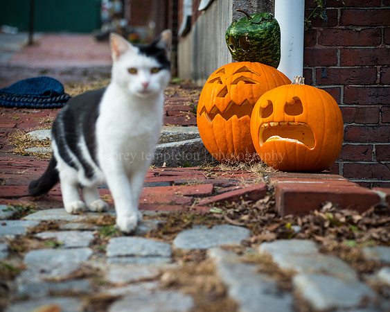 South Street, October 2015