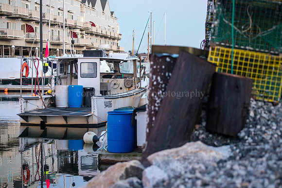 Widgery Wharf, February 2016