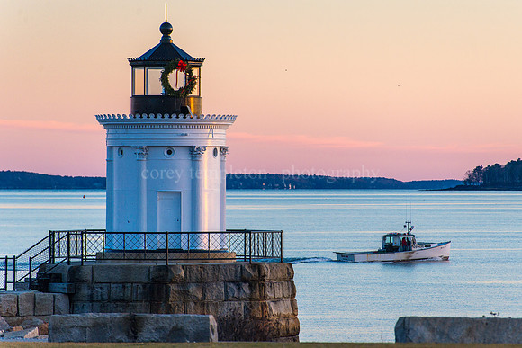 Bug Light in the Morning