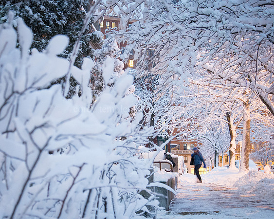 Deering Street in Snow