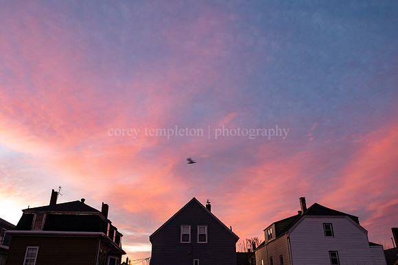 Bird in flight and sunrise over West End