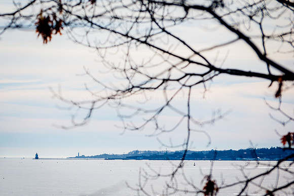 Martin's Point to the Sea