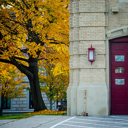 Foliage at the Fire Station