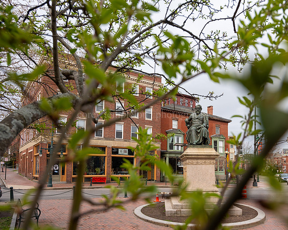 Longfellow Square in Spring Blossoms