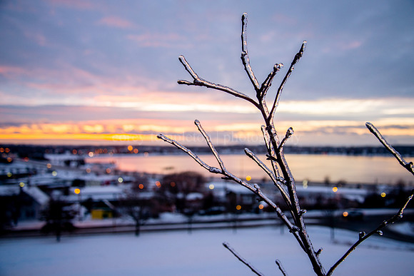 Icy Sunset