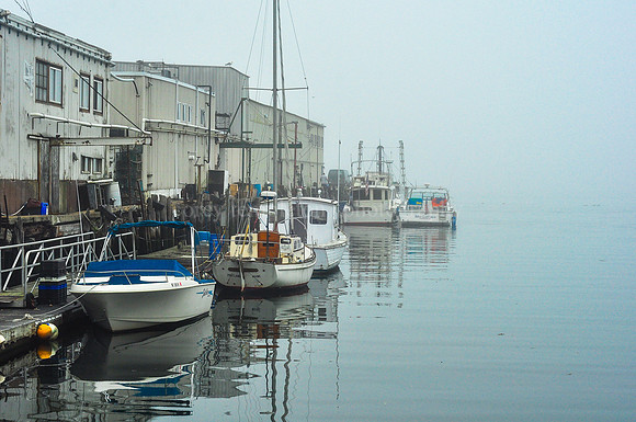 Foggy Harbor