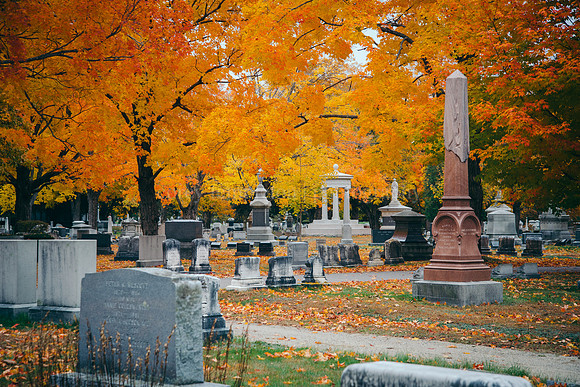 Evergreen Cemetery, October 2015