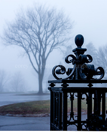 Fence at Pine and Western Prom