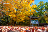Portland, Maine (All)