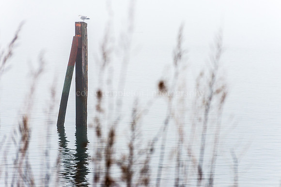 East End Beach, Dec. 2015