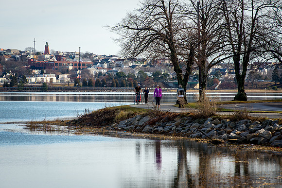 Back Cove, Warm Christmas Day